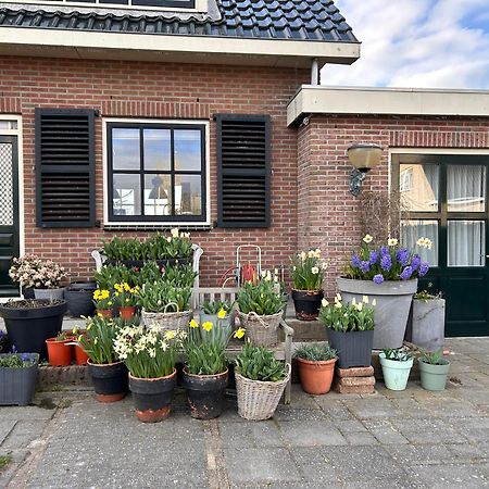 Flowerbed Voorhout Exteriér fotografie