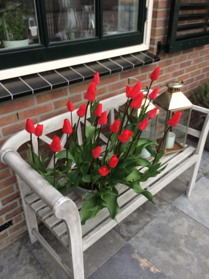 Flowerbed Voorhout Exteriér fotografie