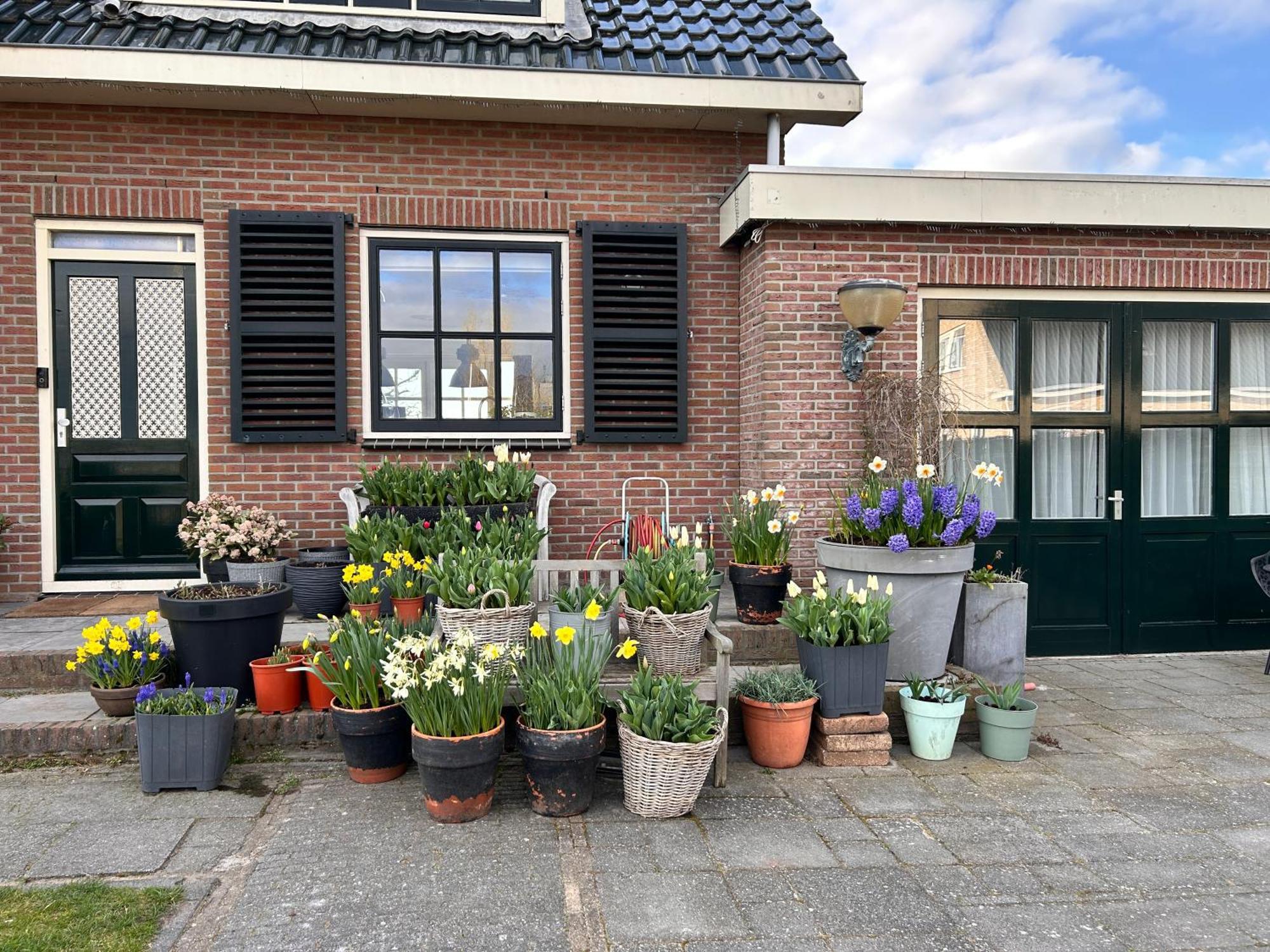 Flowerbed Voorhout Exteriér fotografie